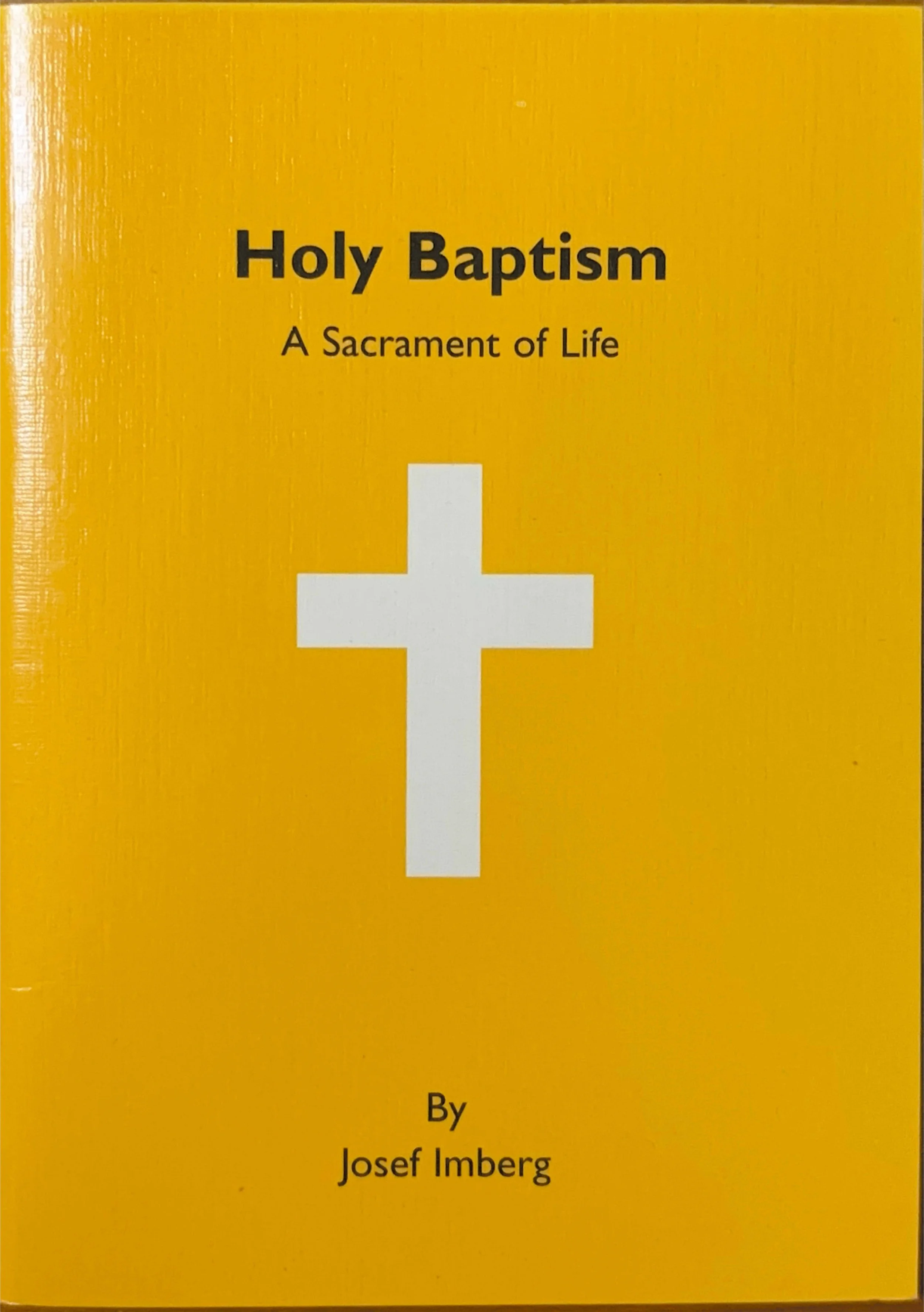 11091 Holy Baptism 1.jpg