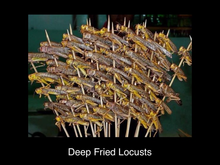 Slide19.jpg