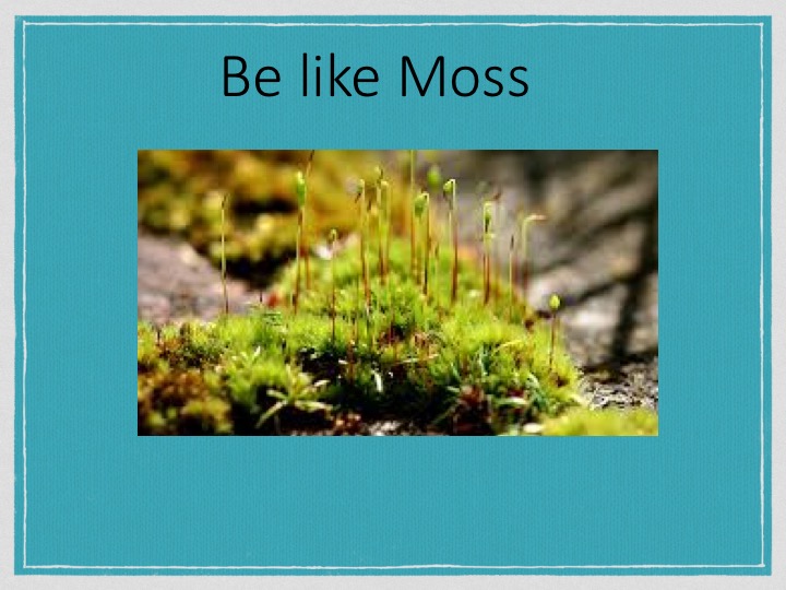 Slide12.jpg