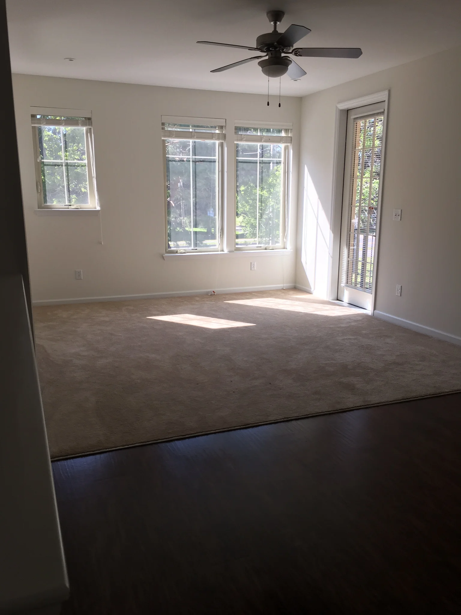 two-bedroom apartment living area with window view.jpg