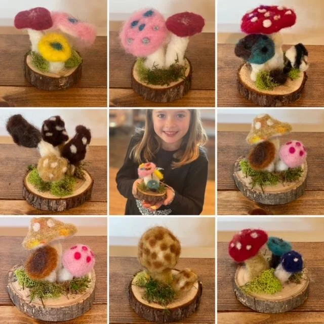 https://conta.cc/41coPiD
click thru or find link in profile for all the details about our upcoming Needle Felting Classes!
