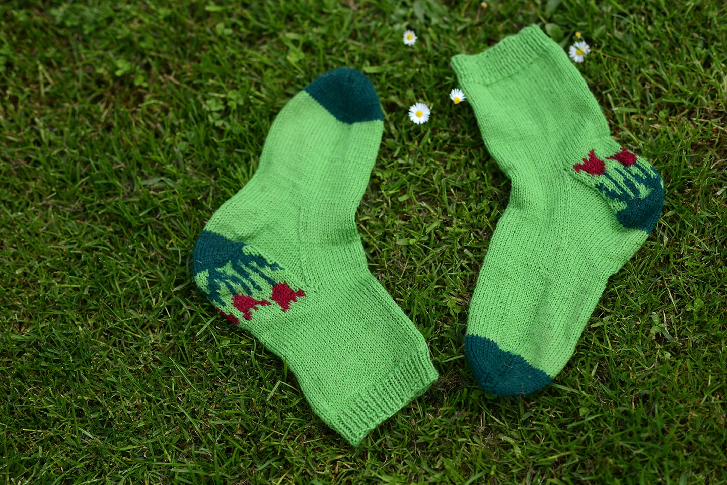 tulipsocks1.jpg