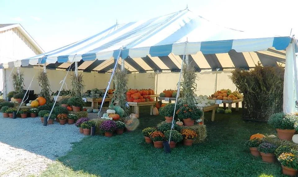 Masse Family Fruit & Vegetable Farm