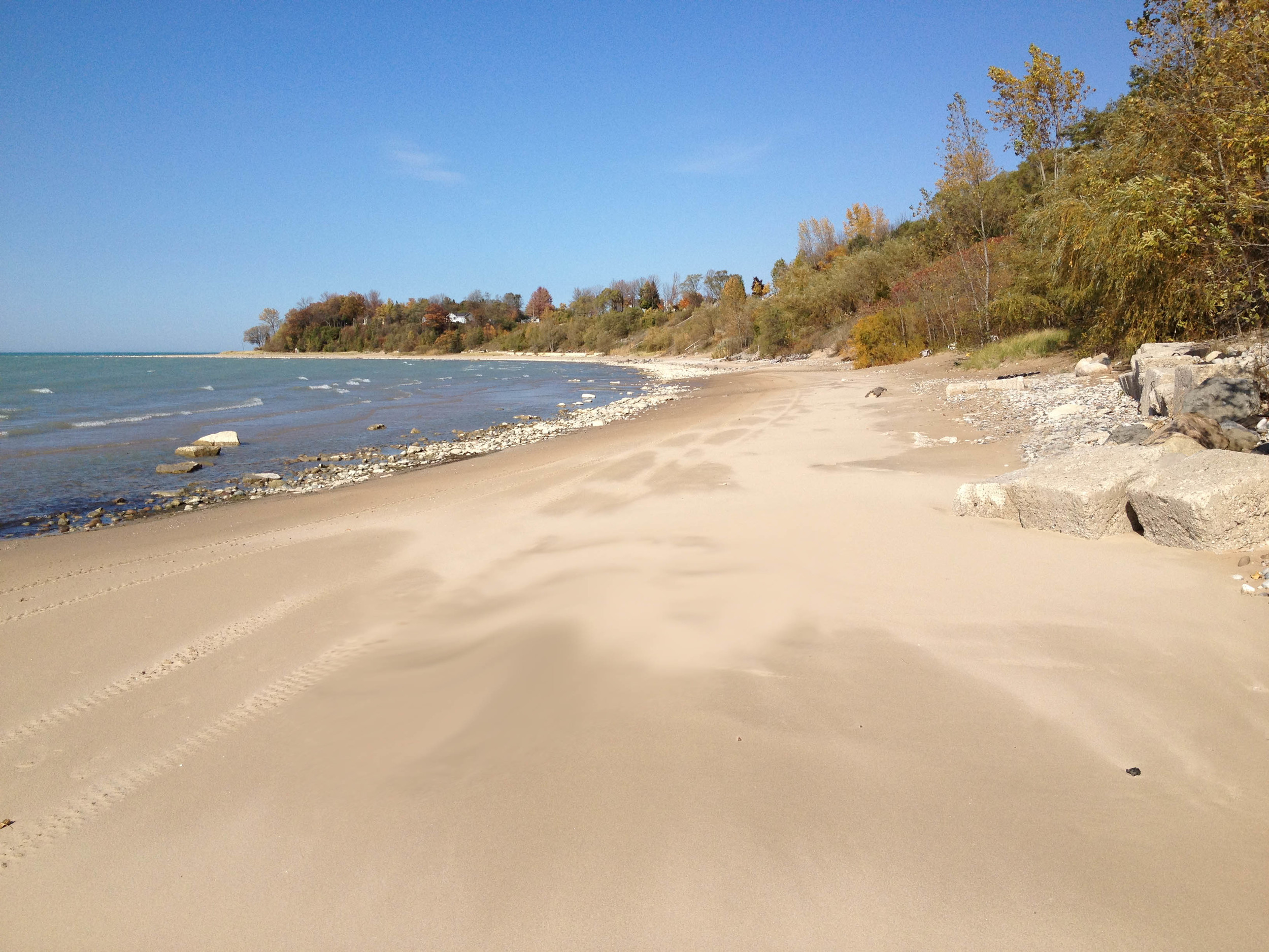 Beach looking north in summer.jpg