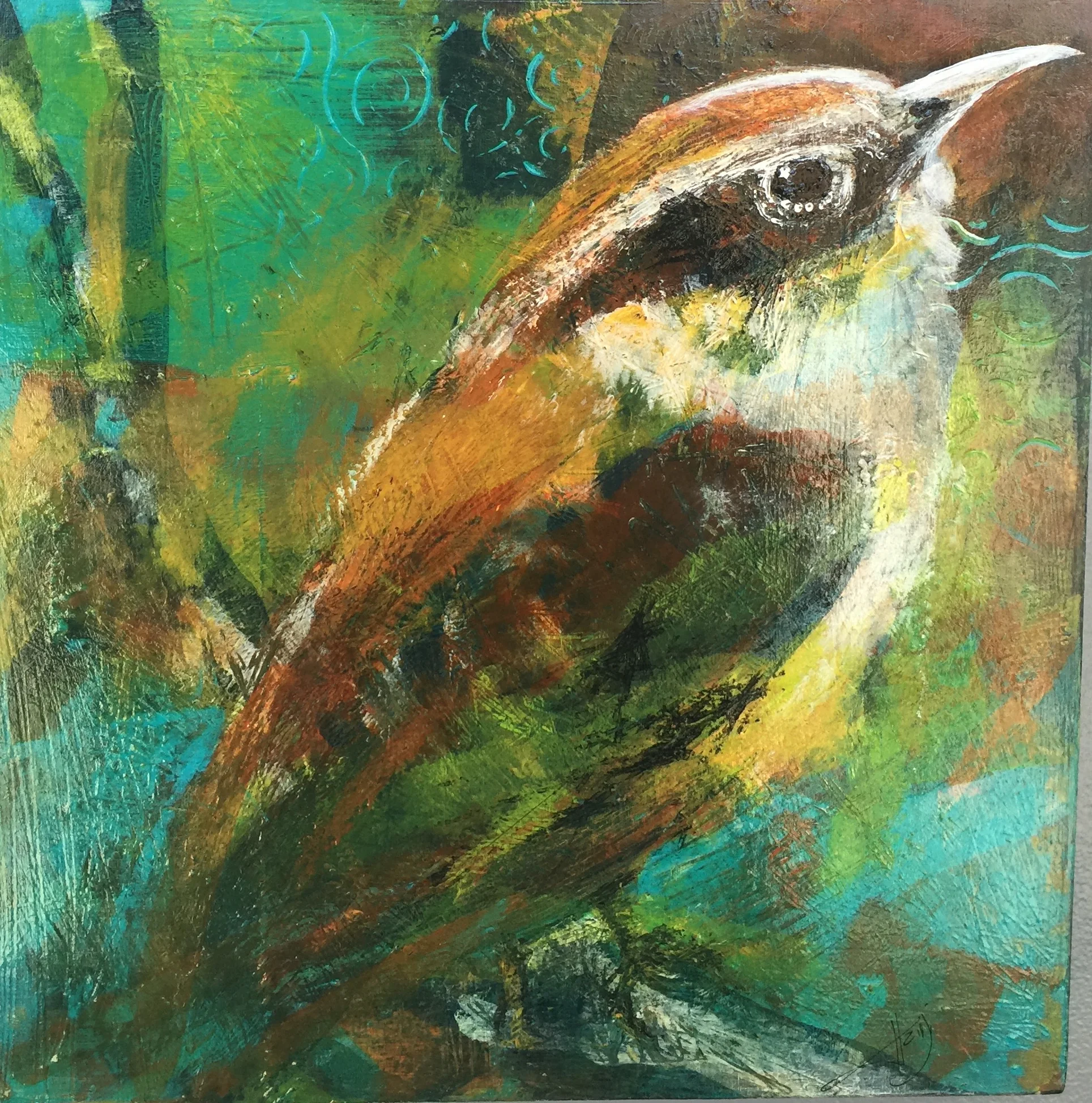 Carolina Wren.jpg