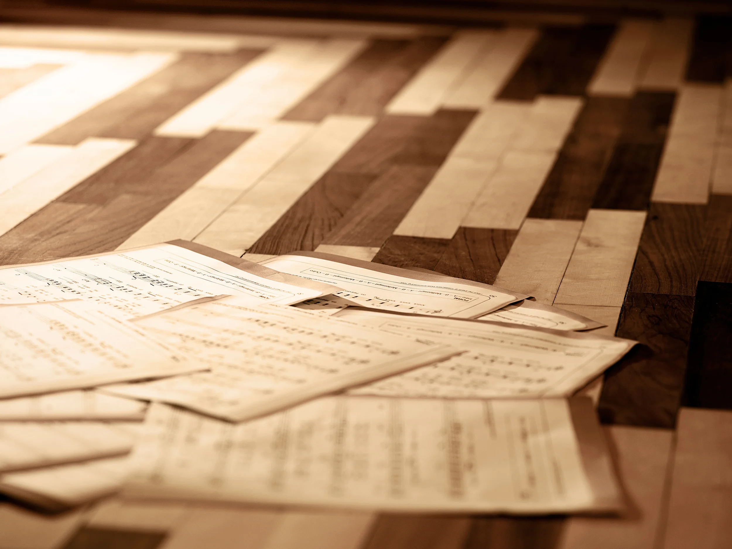 ECCO_PR_2010 133497_PXL_HOUSE_WEB_hr.jpg