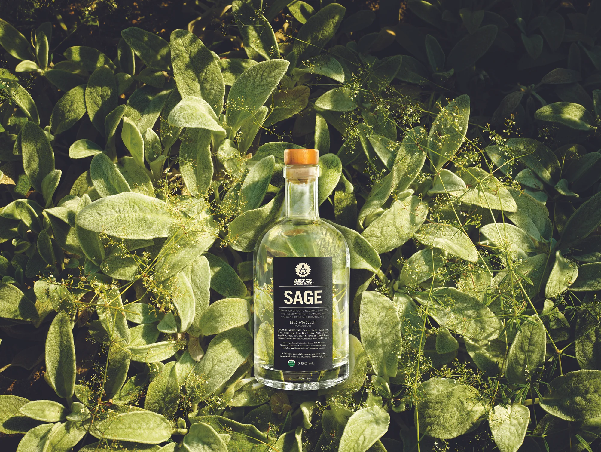 20120725_QCM_Sage_0027_FIN.jpg