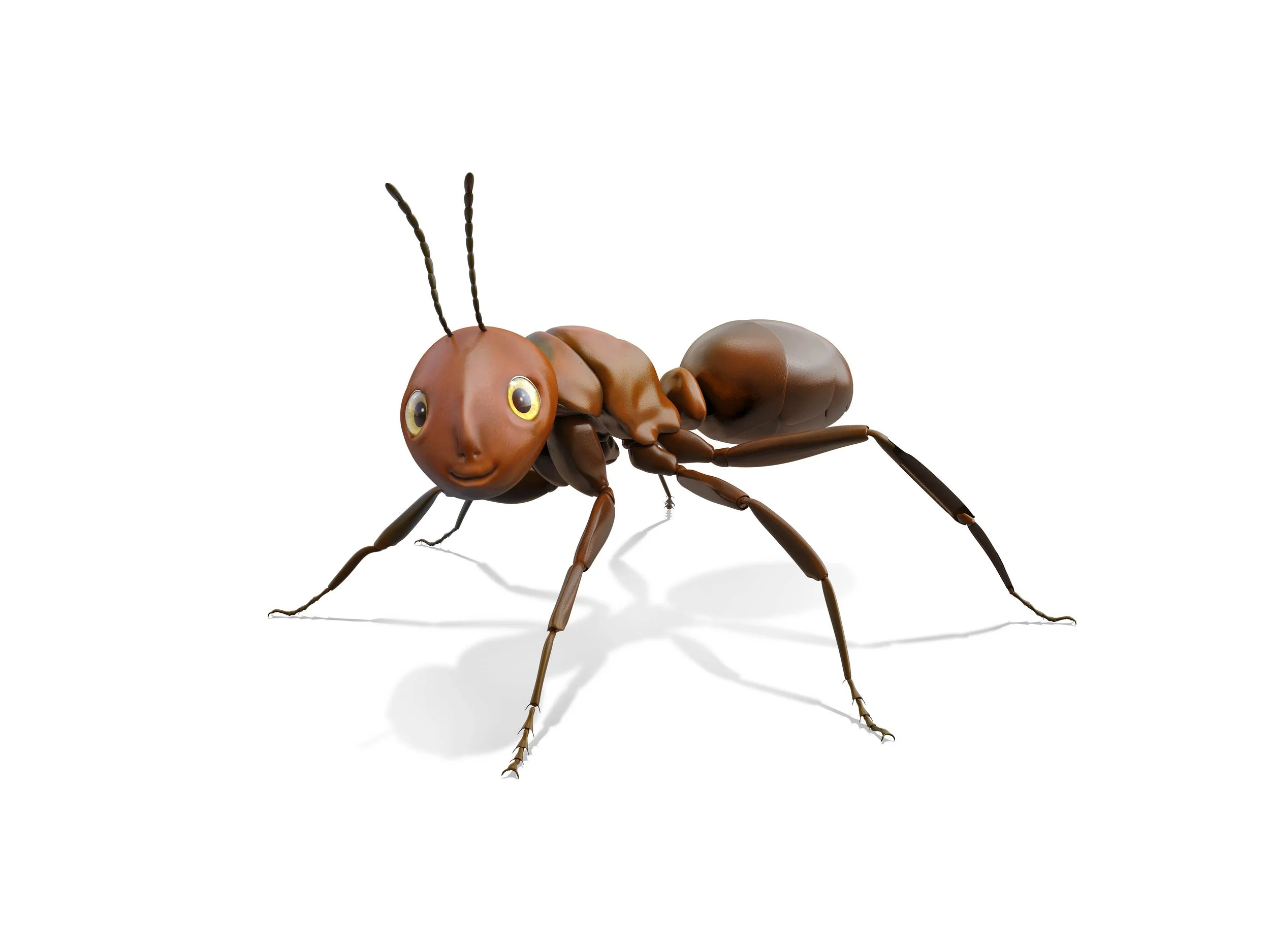 TEVA_Ant_Solo_V3A_FIN.jpg