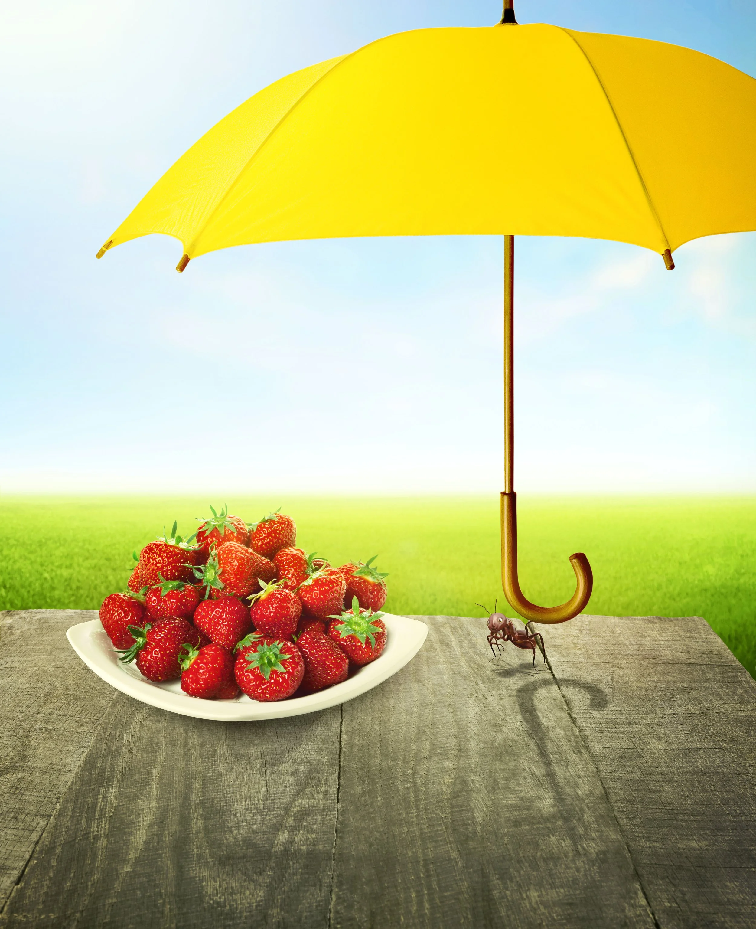 TEVA_Umbrella_V5A.jpg