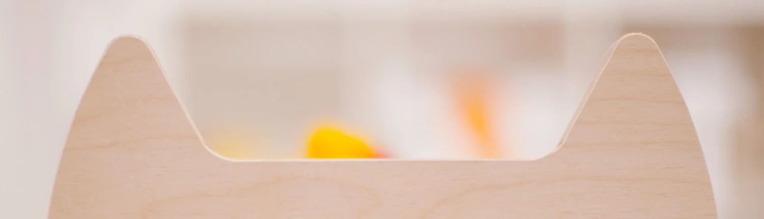 ZORRO_cropped.jpg