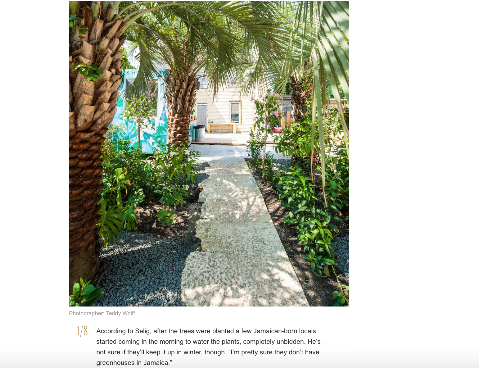 The Palms_W Magazine 2.png