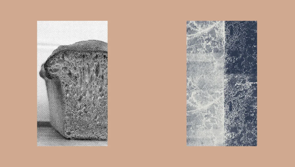 slide3.jpg