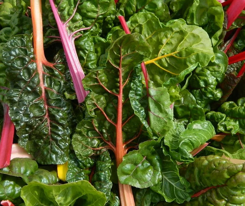   “I want to thank you for all the yummy vegetables you donated this summer and fall. They really helped me out in many way.” - Bath Resident  