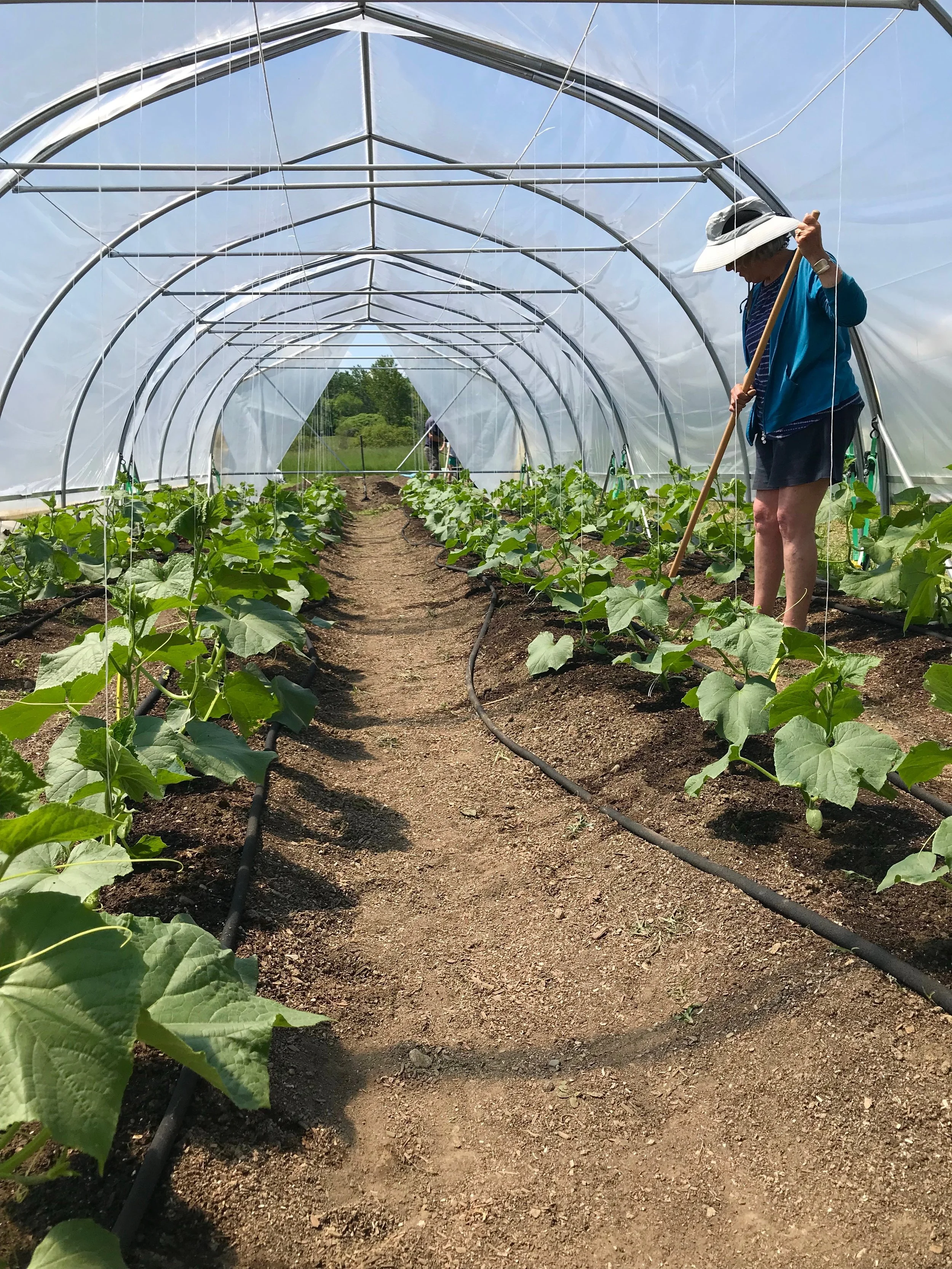 Spotlight: Theda Lyden