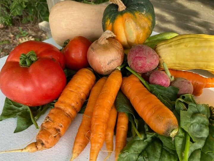 Fall and Winter CSA Options