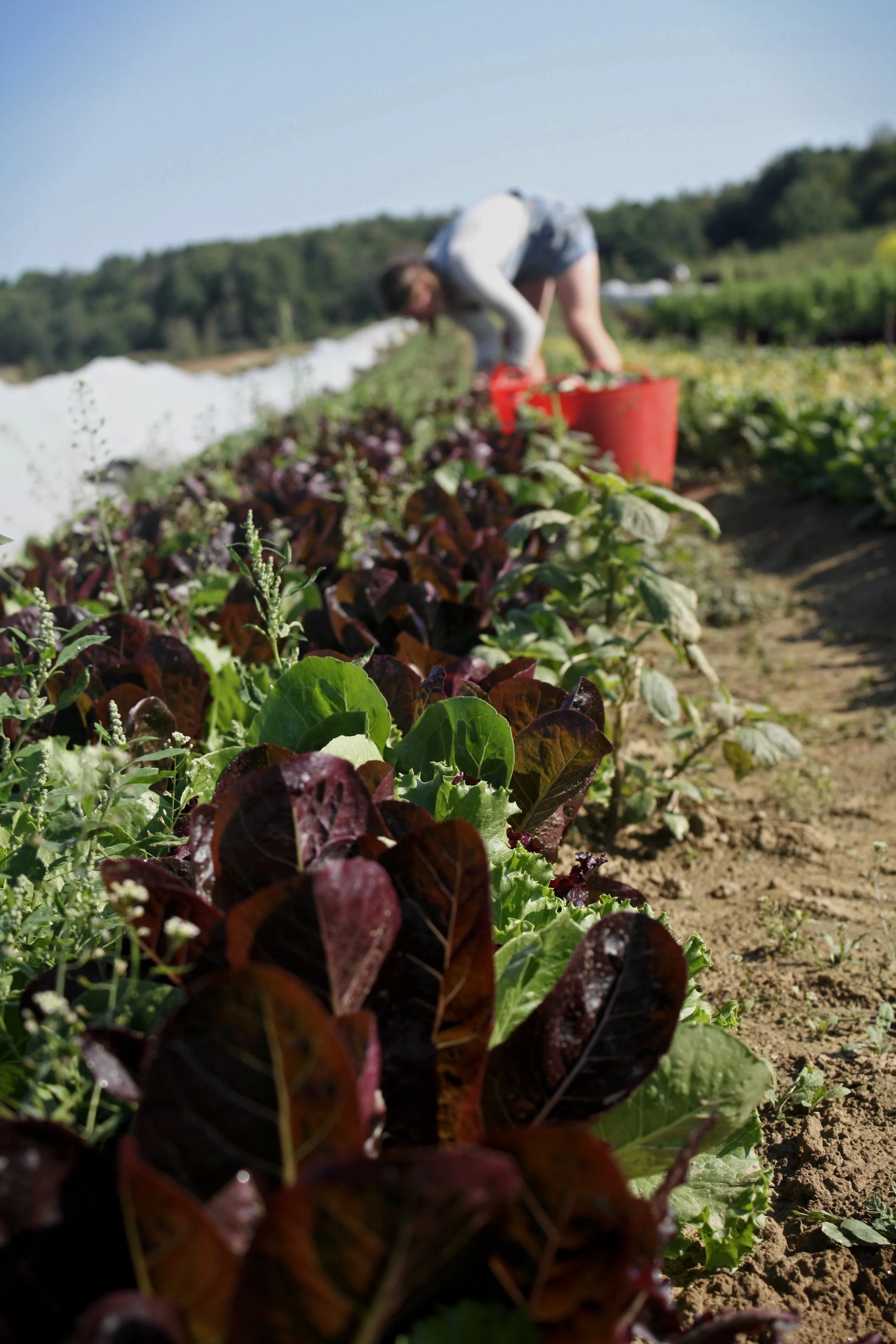 Ag Trades Show Event: Statewide Farm Labor Listening Session