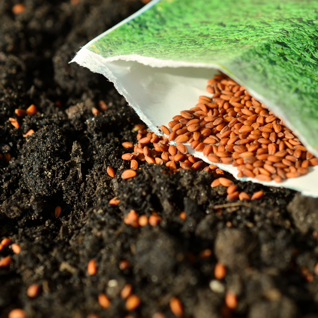It's Seed Ordering Time!
