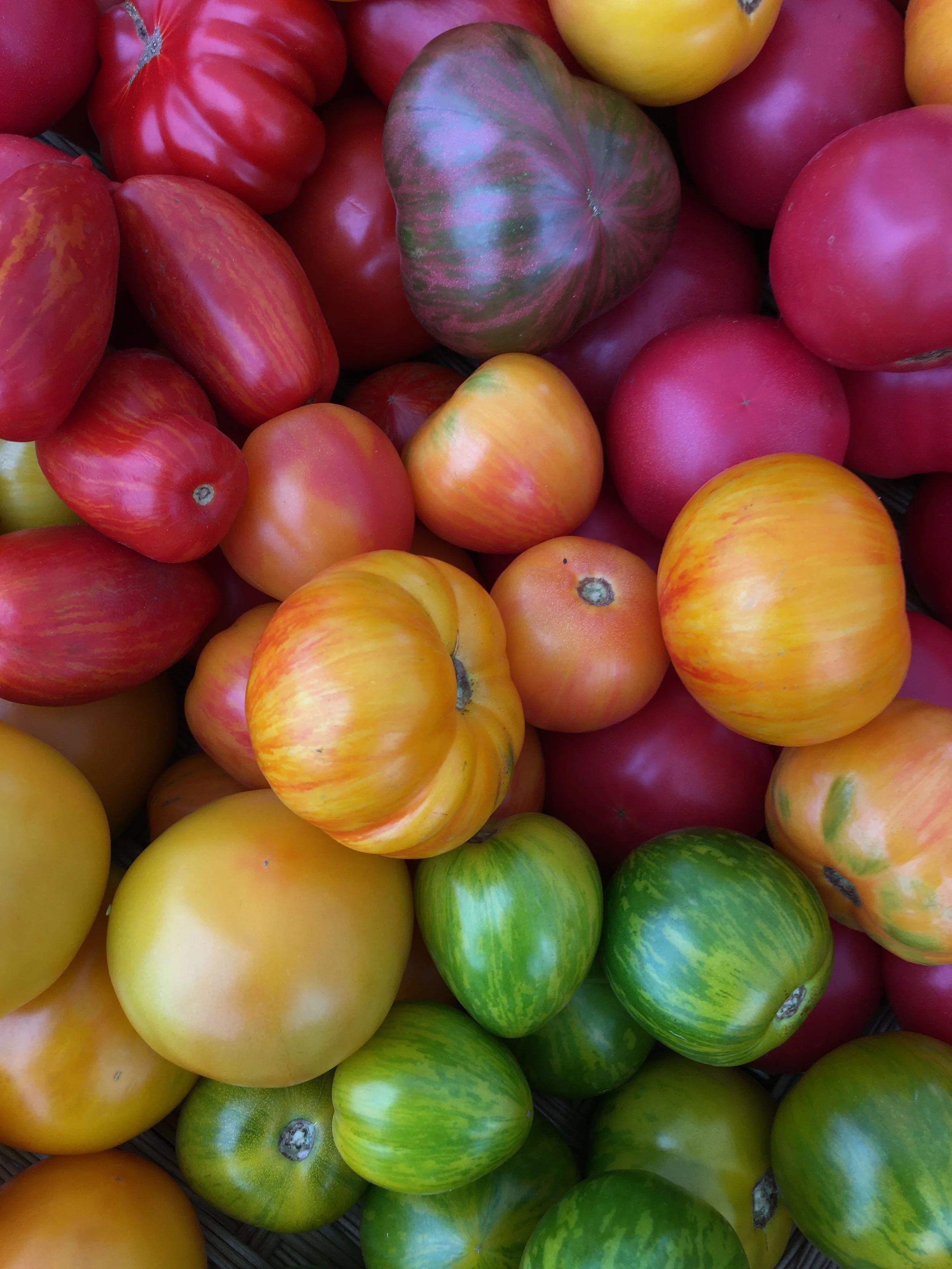 Farm Job Opportunities