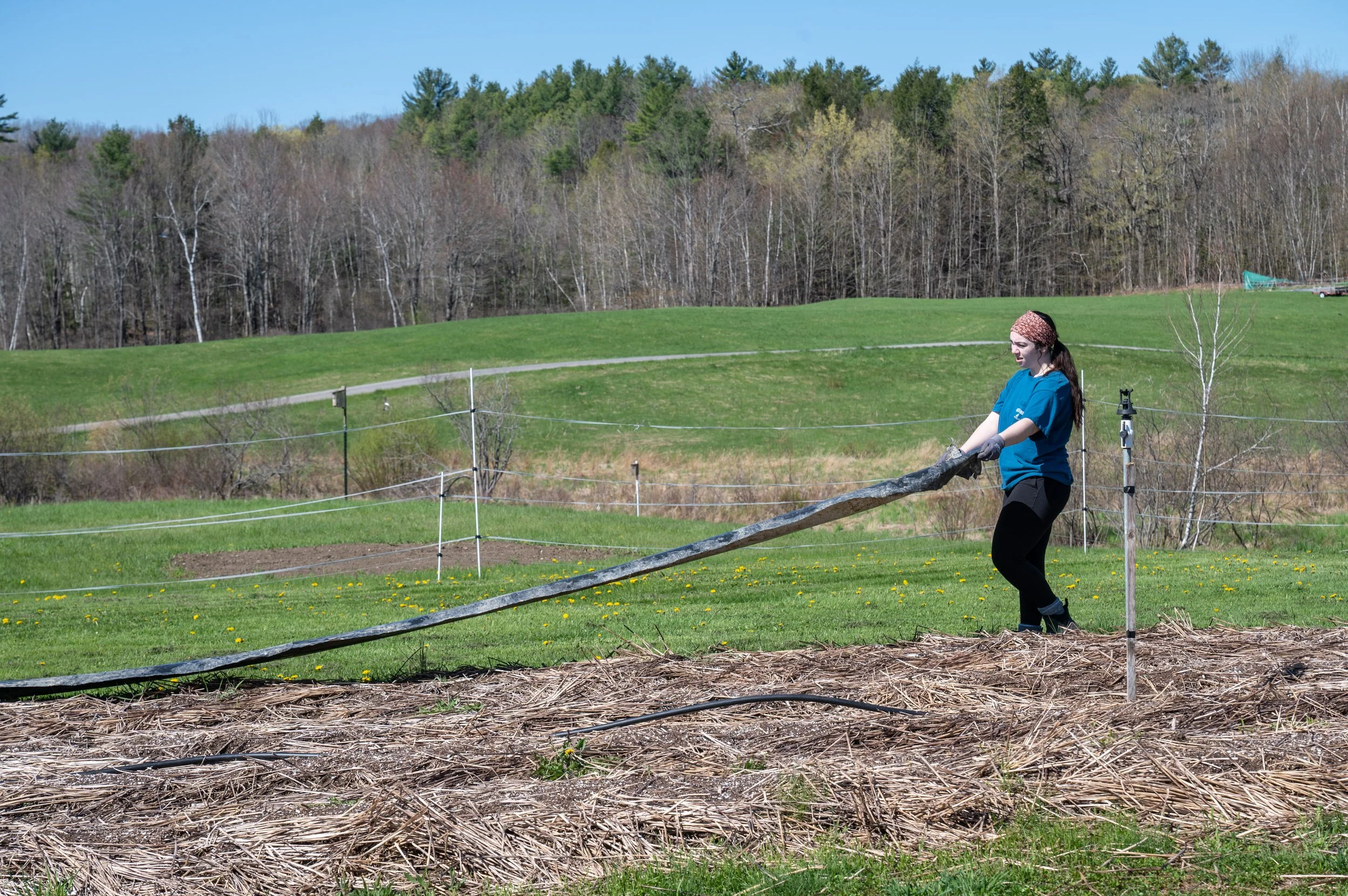 Kelsey Kobik MMFC Farmer Training 2023-109.jpg