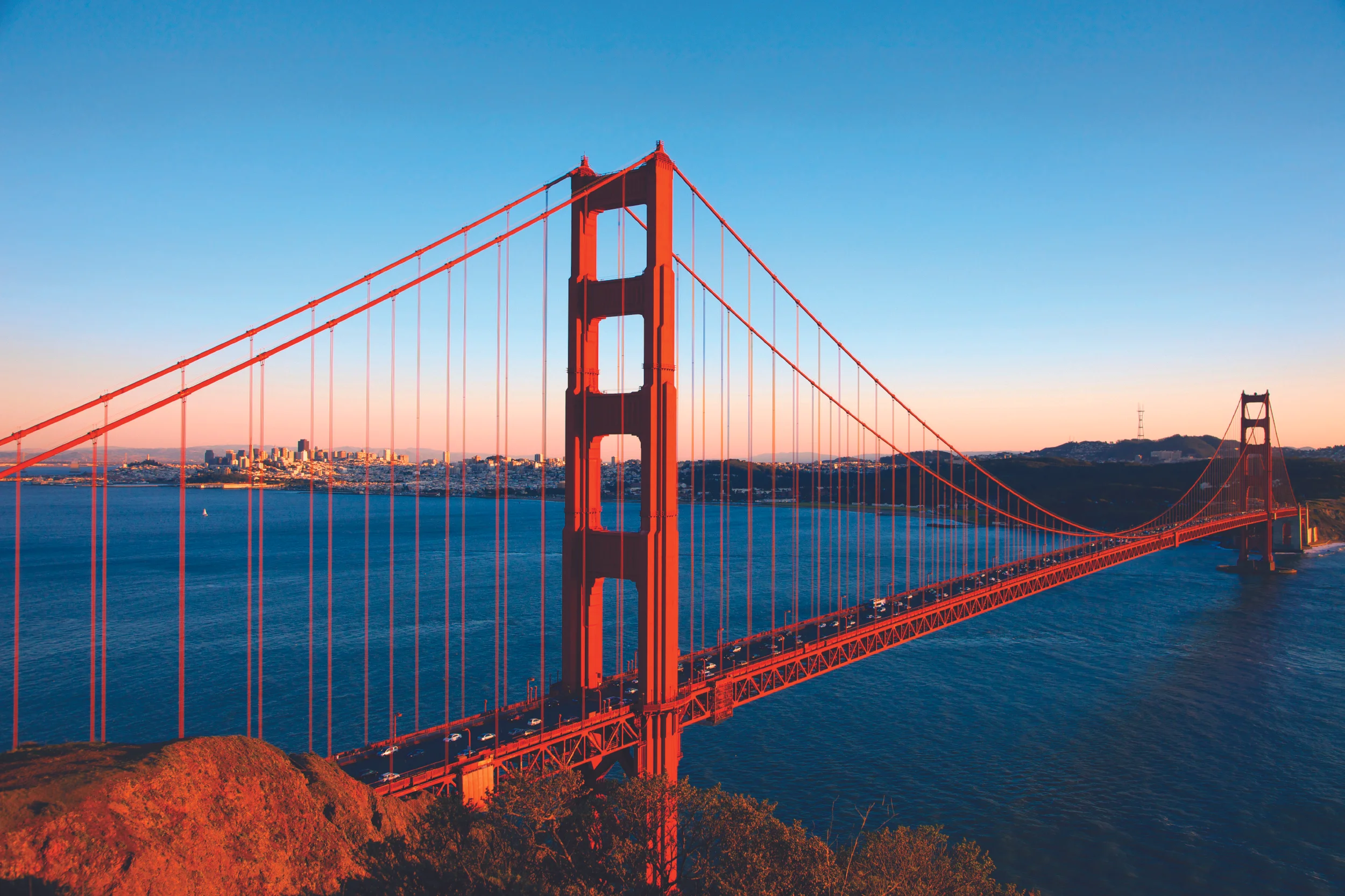 iStock_000011313150Large.jpg