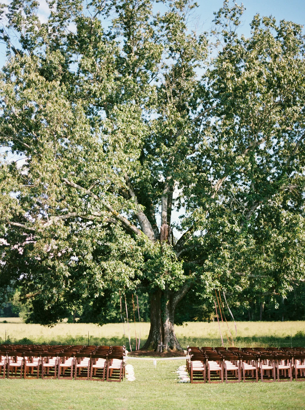 StefanKatieWedding-68.jpg