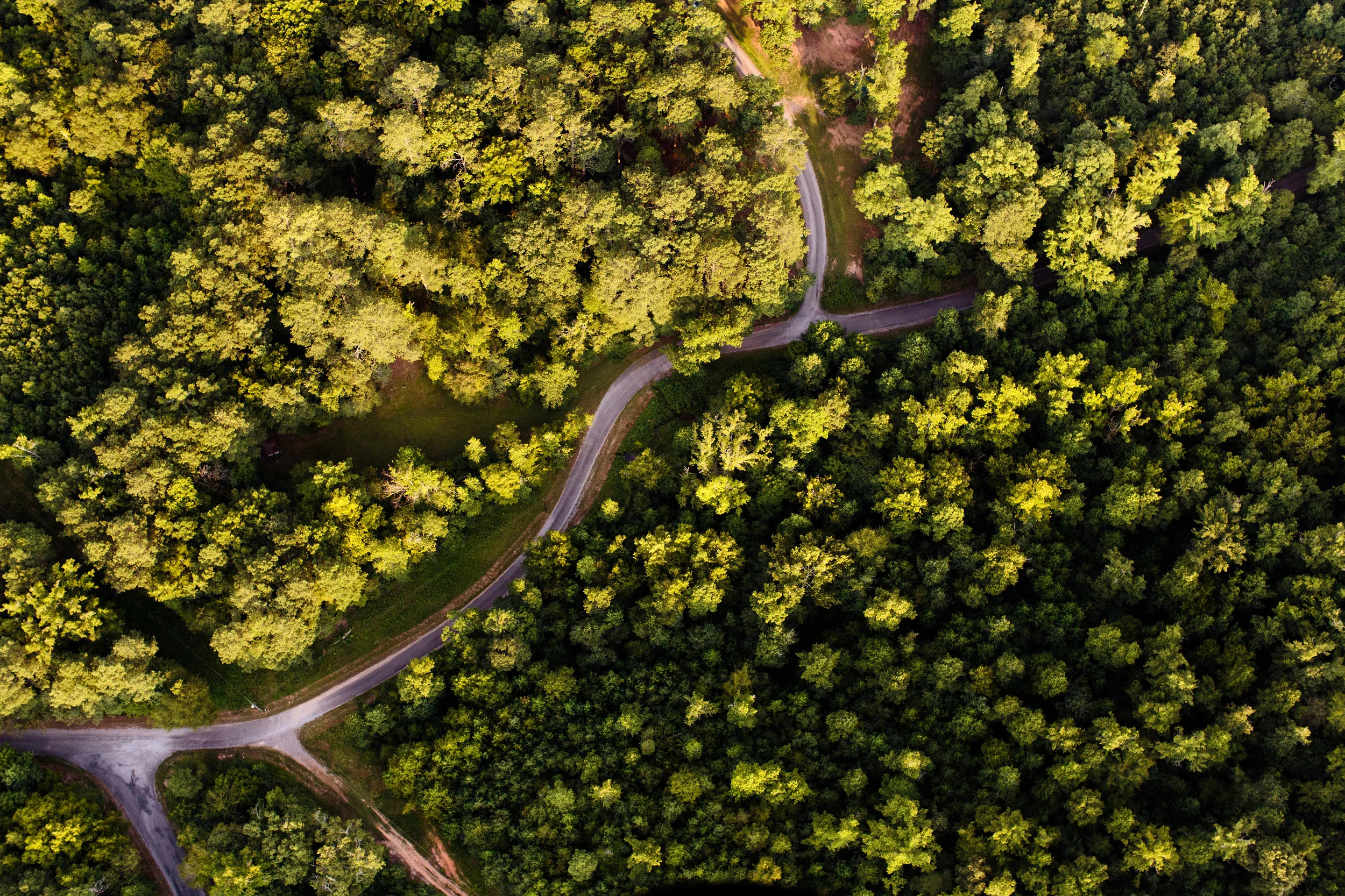 BECU_Aerial-11.jpg