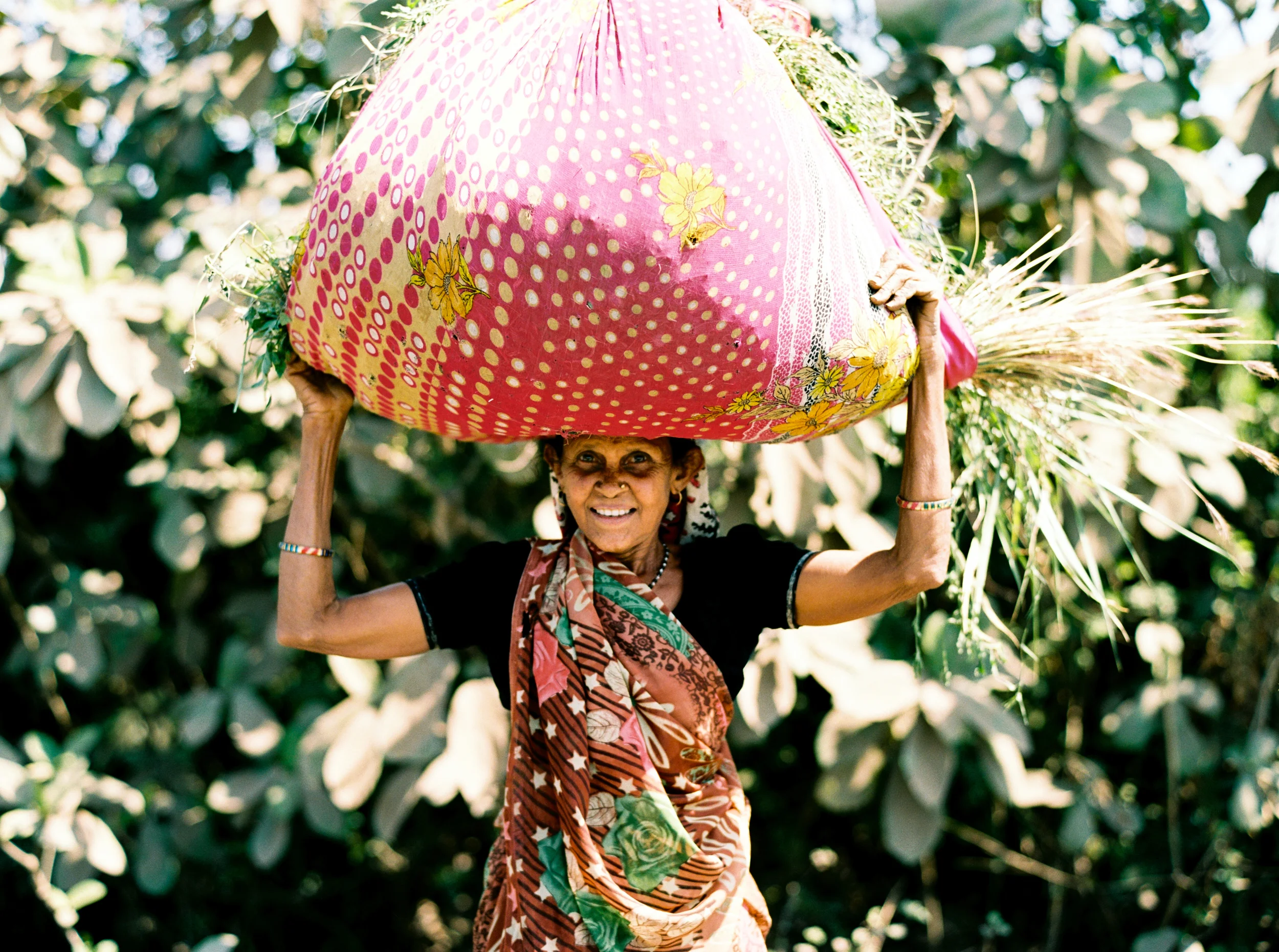 India-19.jpg