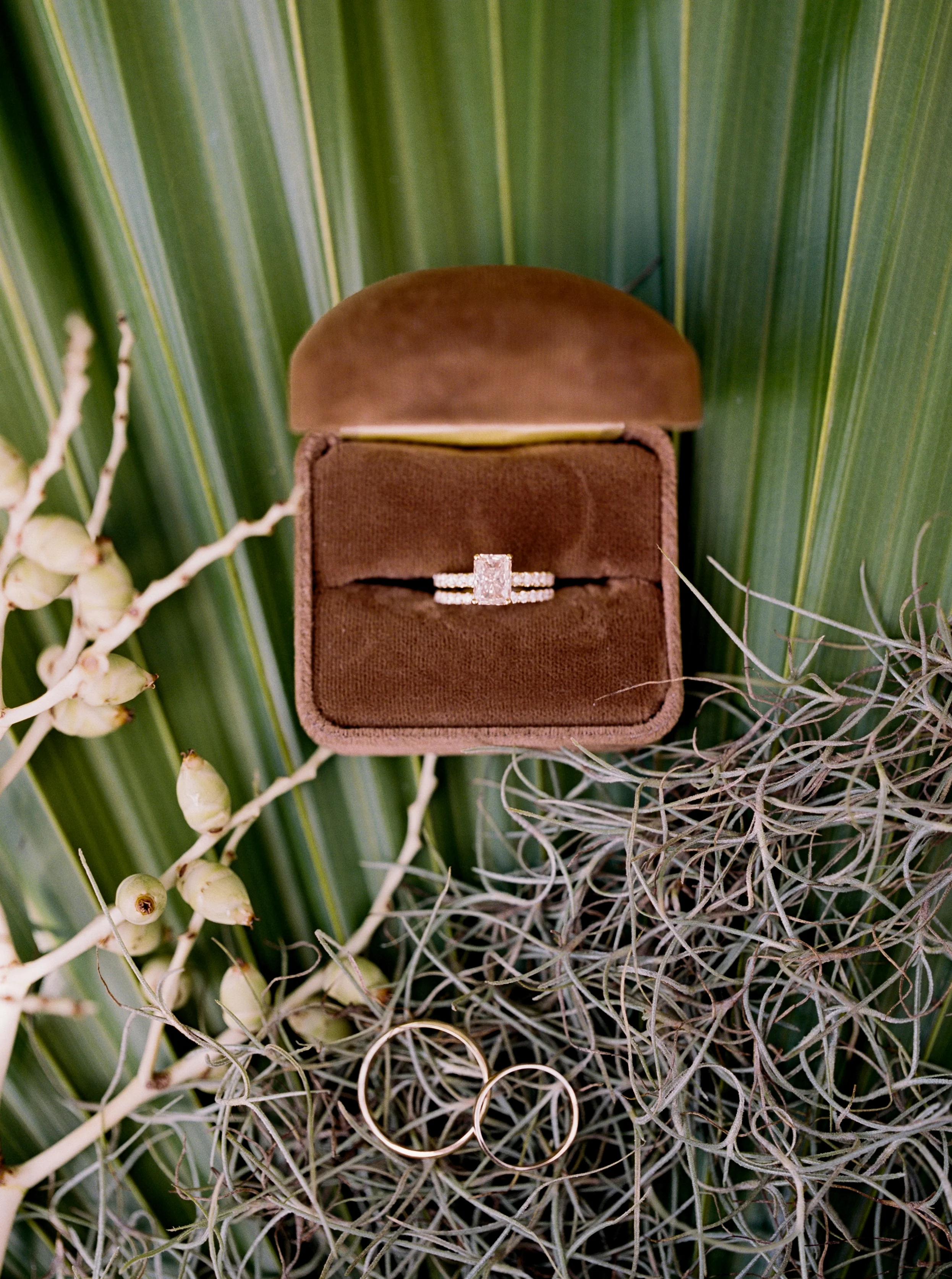 GlenKaileyWedding_FILM-430.jpg
