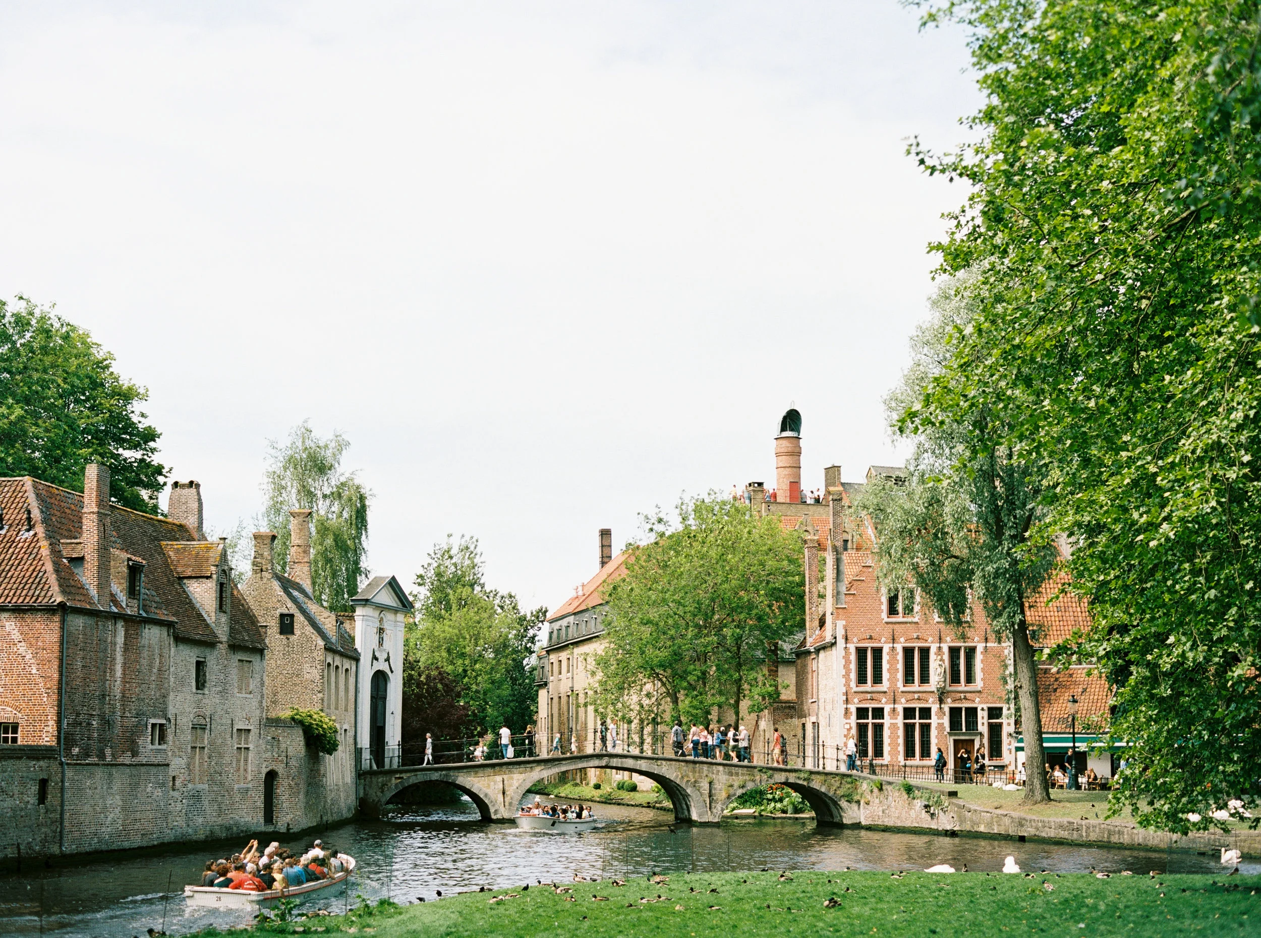 Belgium_FINCH-92.jpg