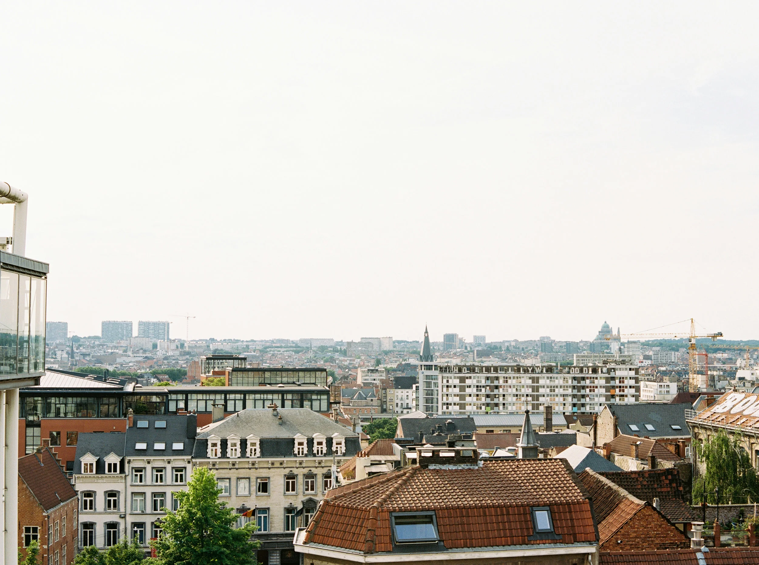 Belgium_FINCH-114.jpg