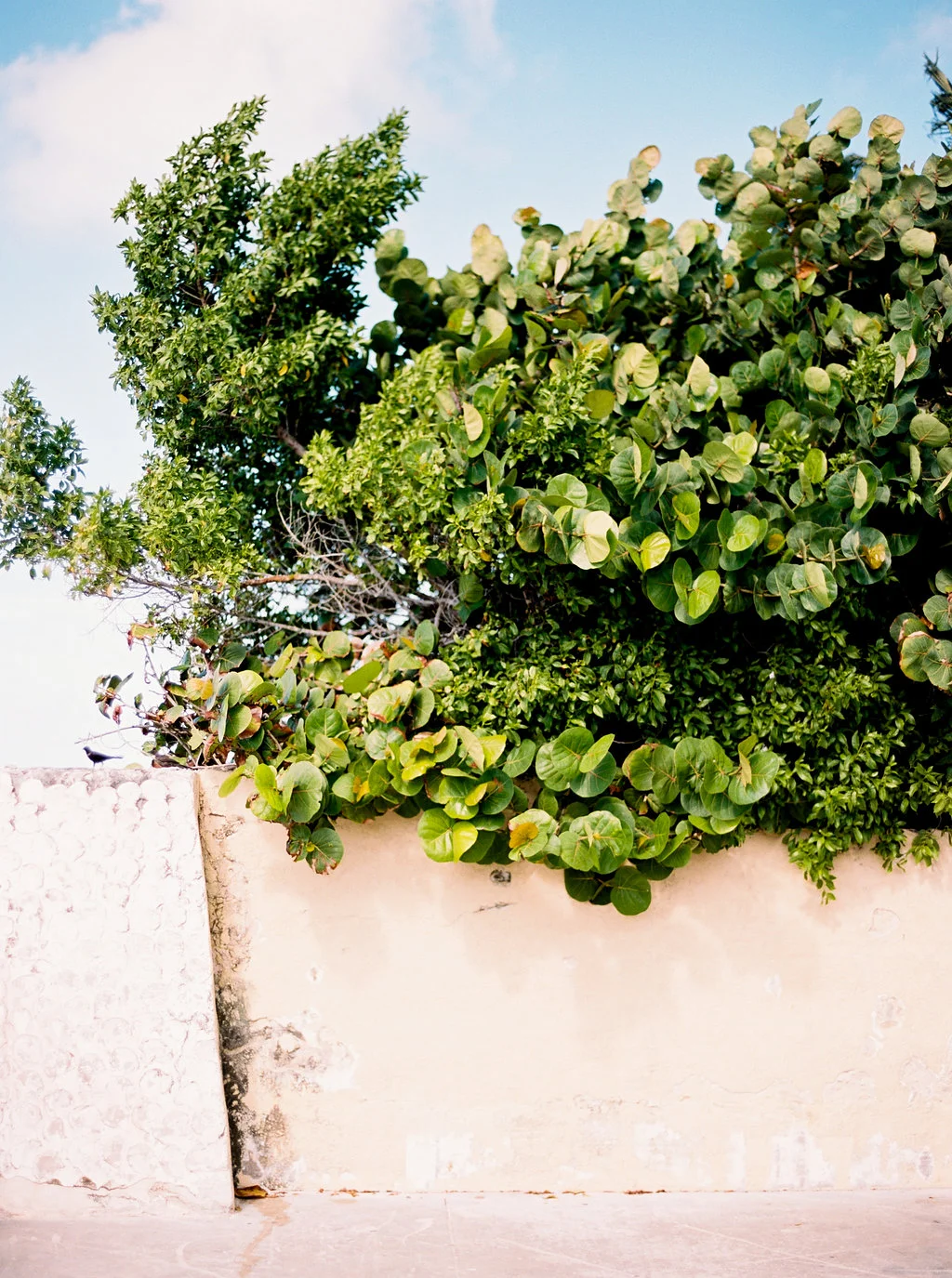GlenKaileyWedding_FILM-268.jpg