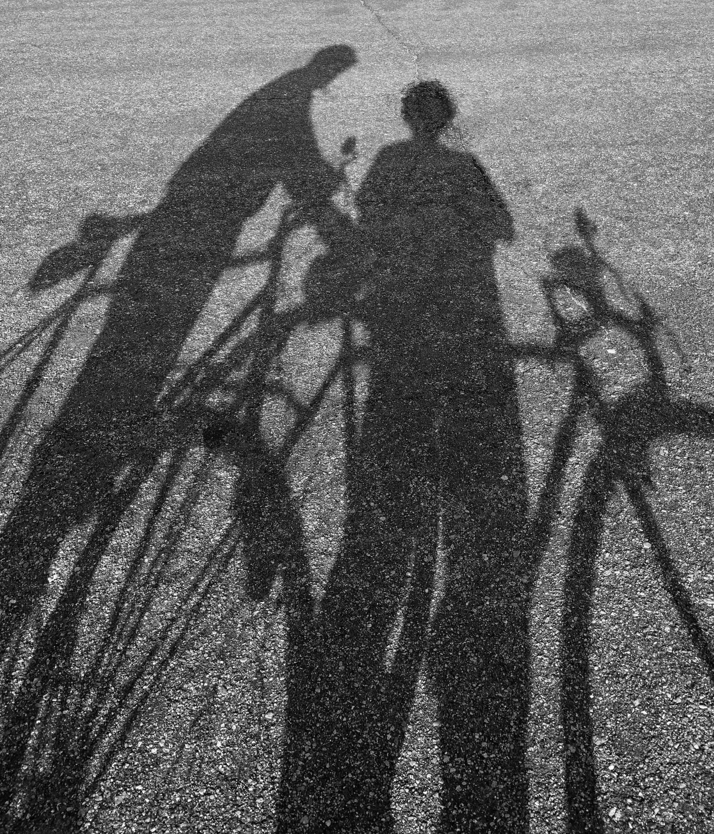 2 bike shadows BW crop.jpg