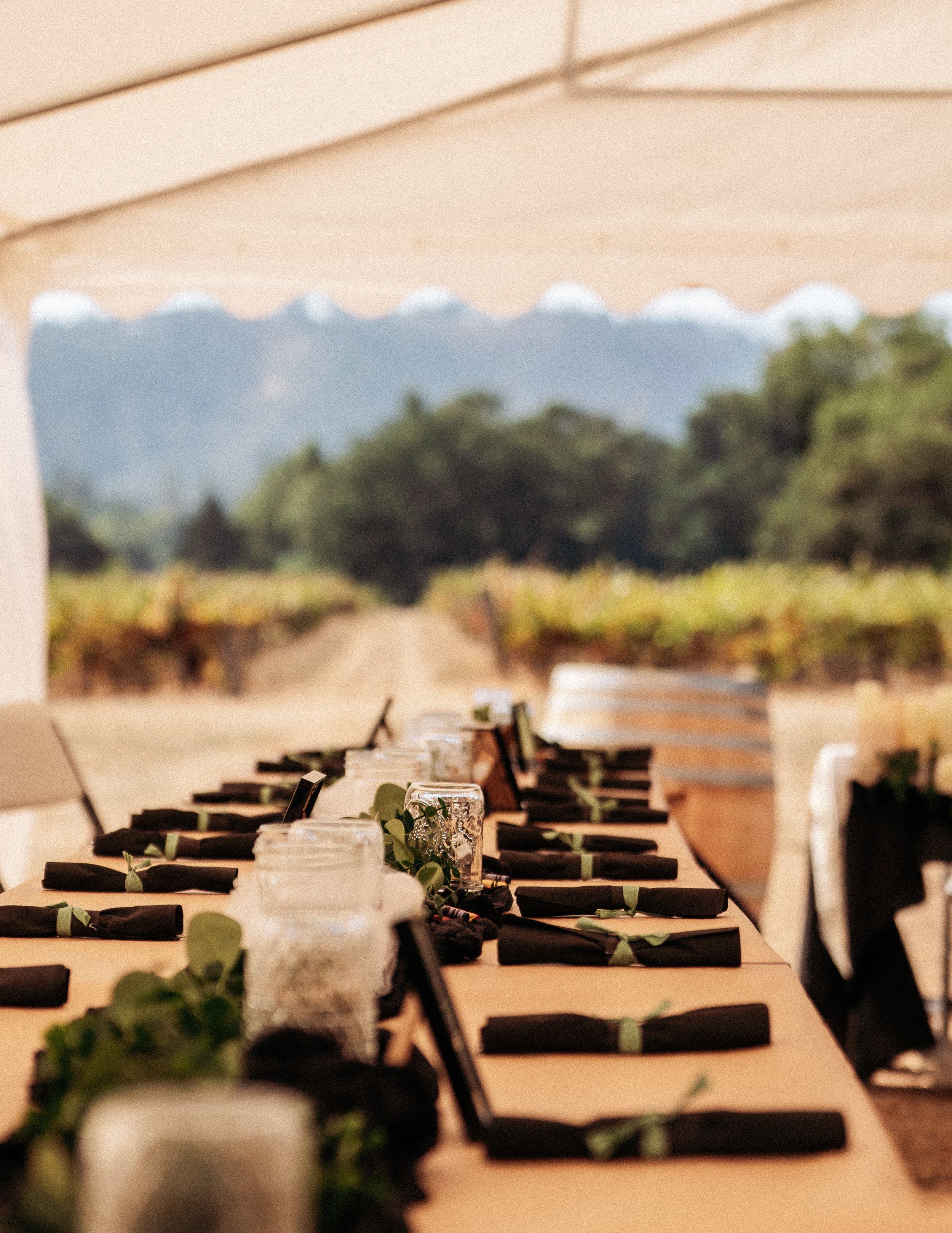  Prettiest Rose Photography  https://prettiestrosephotography.pixieset.com/  