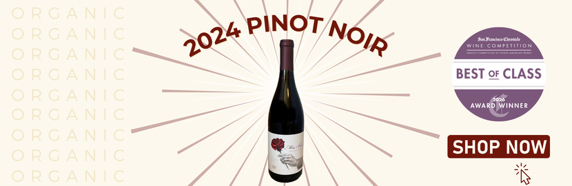 2024 Pinot Noir.png