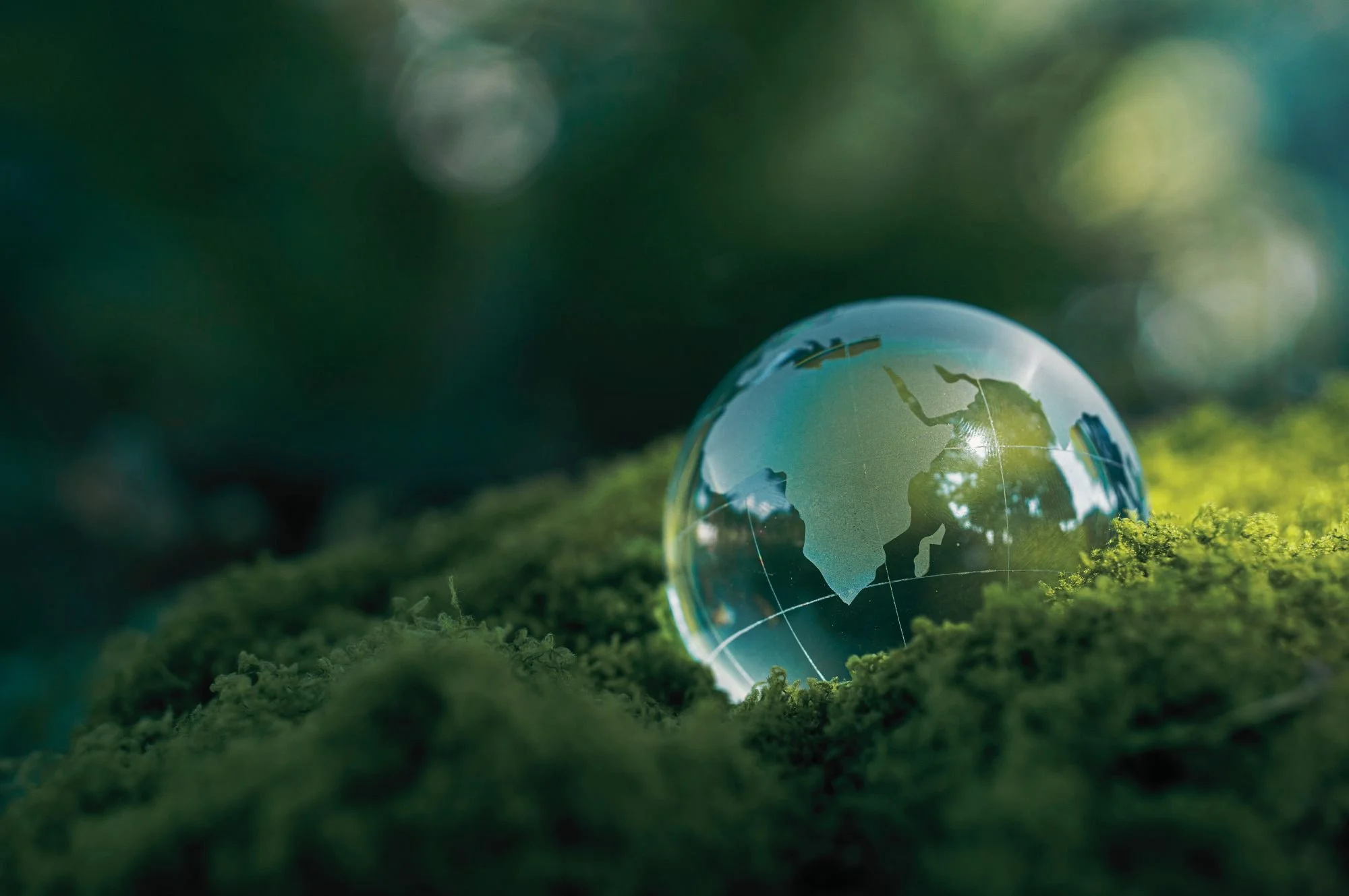 Verniciatura sostenibile: come unire performance industriale e rispetto ambientale