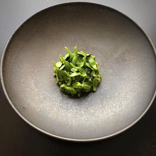 #3courses: 1 of 3
Back to #sweethome #Chicago and our friends at @acadiachicago for some (properly proportioned) Michelin #comfortfood!
#foodie #bucketlist #luxurytravel
#🥗: @acadiachicago
・・・
buckwheat groats, spinach, sunflower sprouts and seeds, lemon verbena #michelinrestaurant #twostarmichelin #twostars #chefsofinstagram #foodporn #tastingmenu #acadiachicago #foodstagram #staffcanteen #aaafivediamond #vegetarian #butimnotavegetarian #michelininspectors #thebestchefproject #thebestchefawards #jbf #jamesbeardfoundation #soignefood