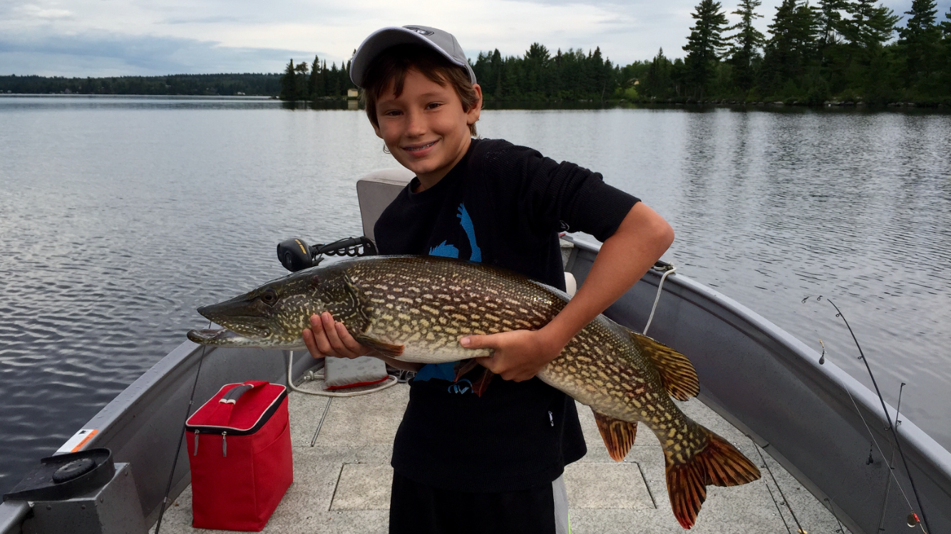 Rowan's Big Northern