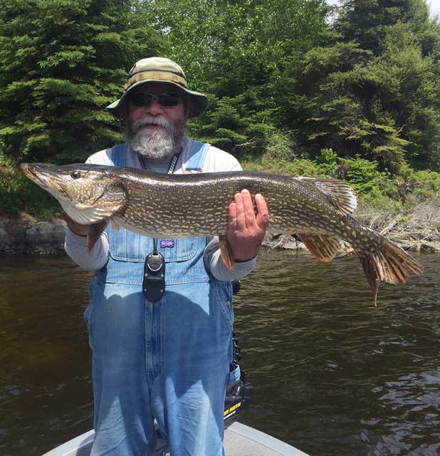 Lee likes those big Northerns...