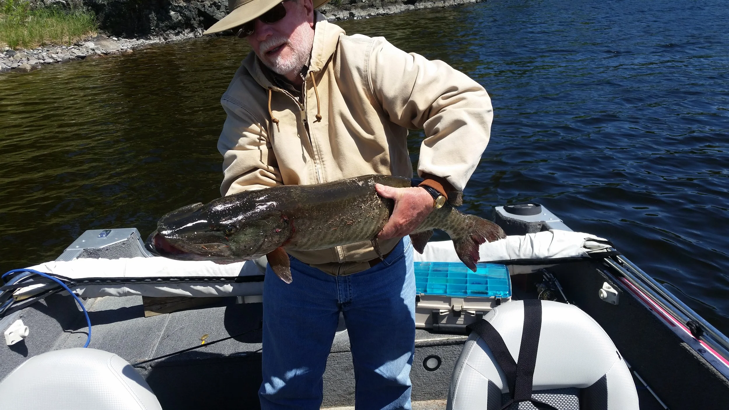  Charlie's 42 inch Muskie; look at the girth! It was a good day!