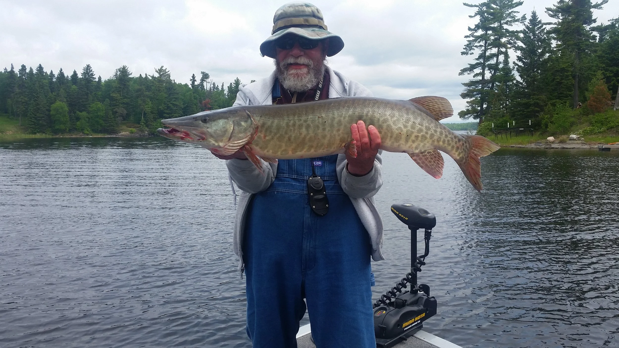  Lee's 39" Muskie. The colours are stunning; the experience, thrilling.... THAT IS A LUCKY HAT!