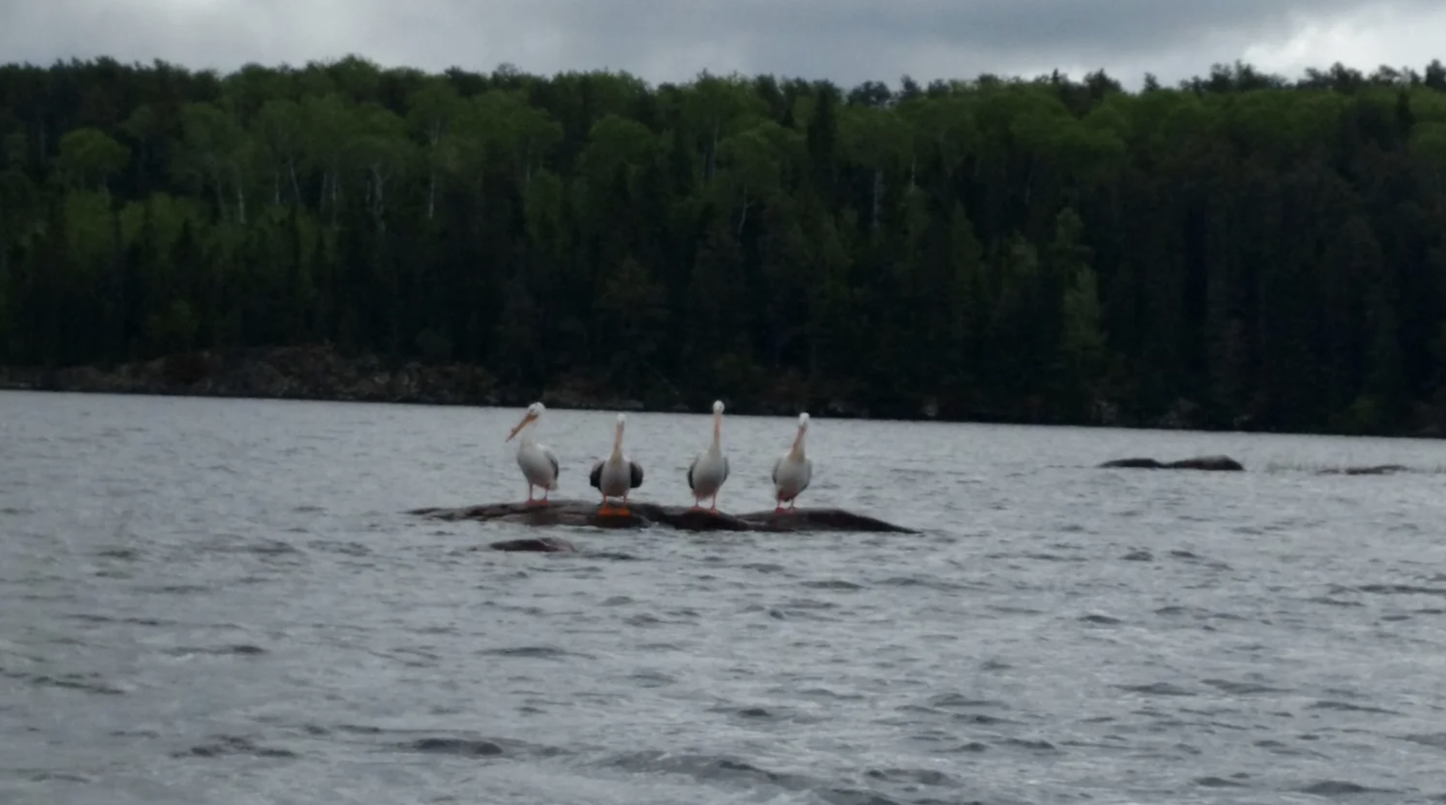 Screenshot 2025-08-10 at 7.29.49 PM.png