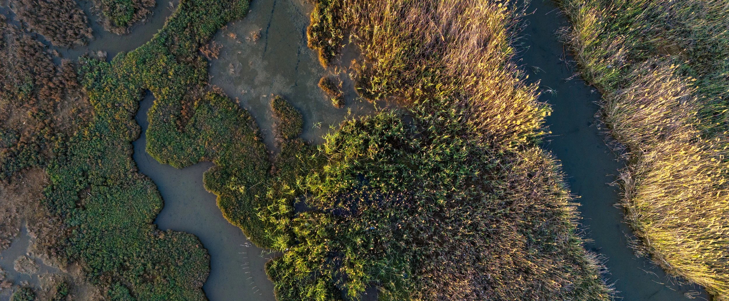 Drone-image-marsh.jpg