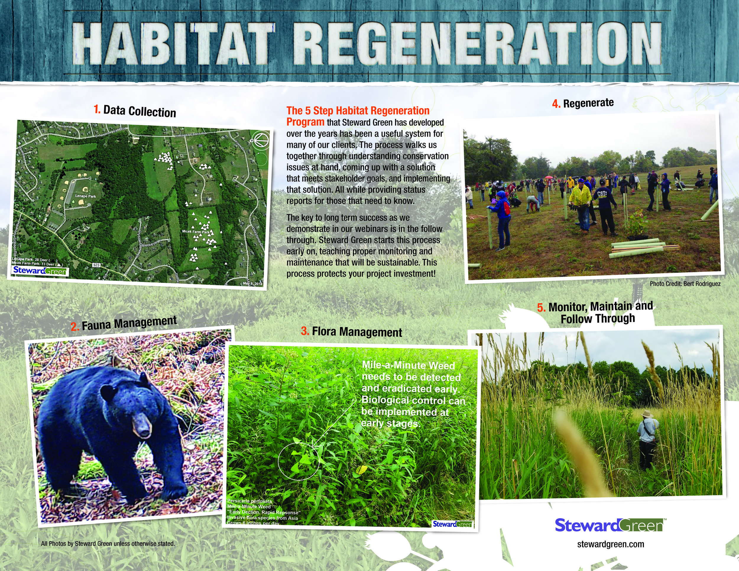 StewardGreen_Habitat Regeneration BrochureFinal_V2-02 (1).jpg