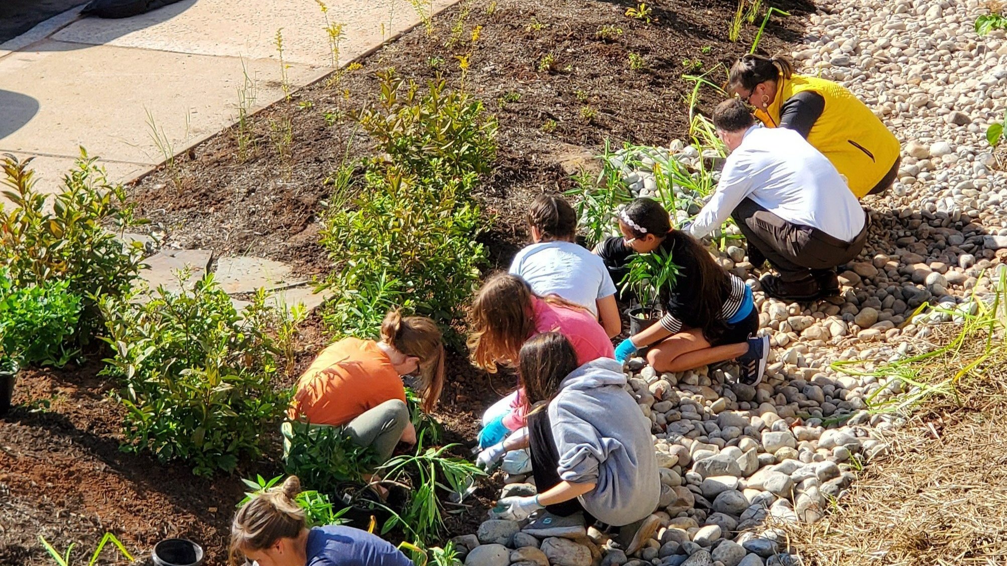 Students planting their rain garden at Timberlane Middle School.