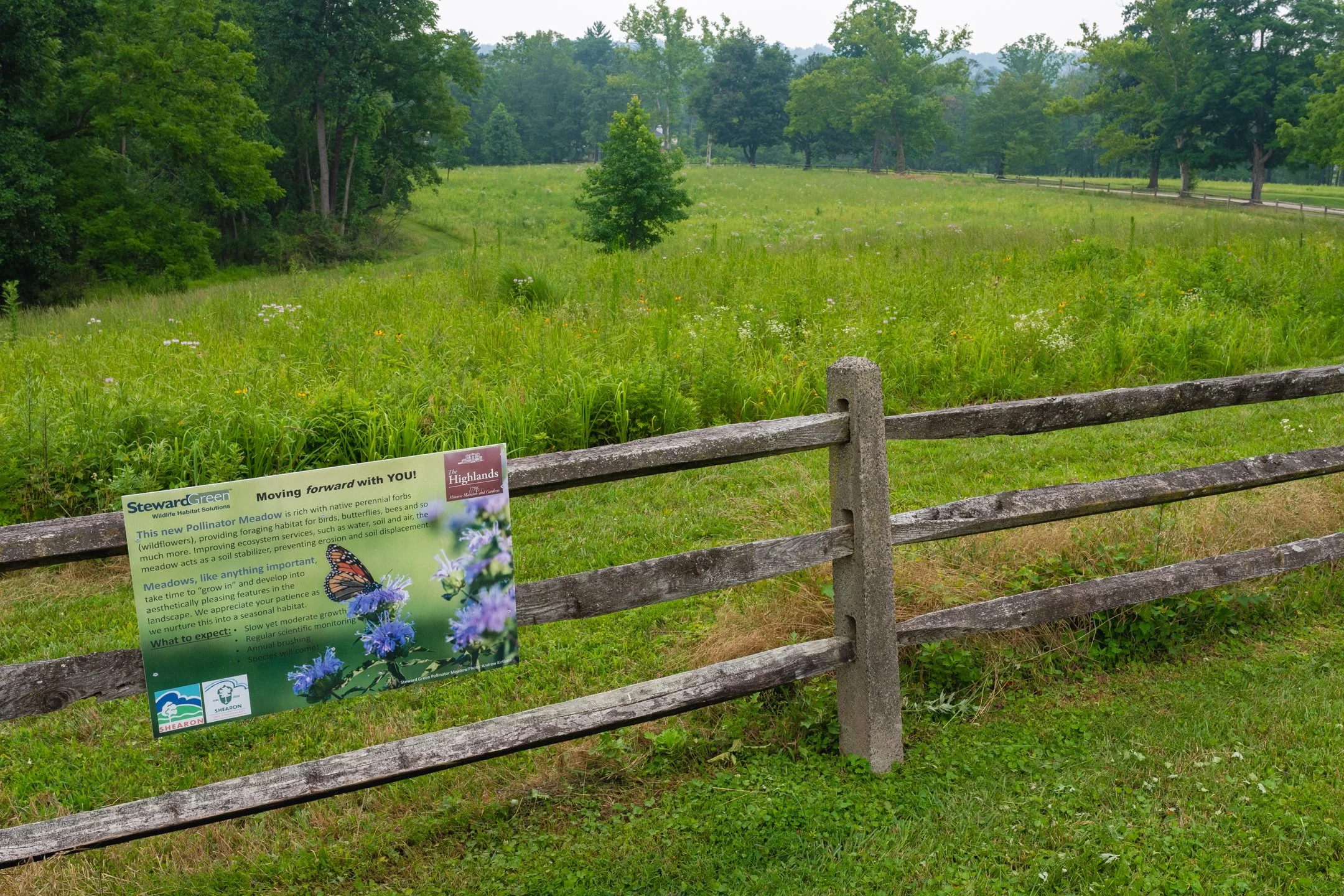 Creating places for habitats to thrive in years to come.
