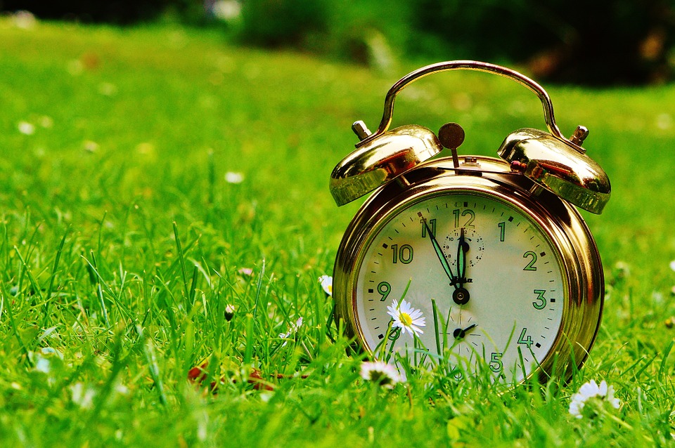 Spring Forward!