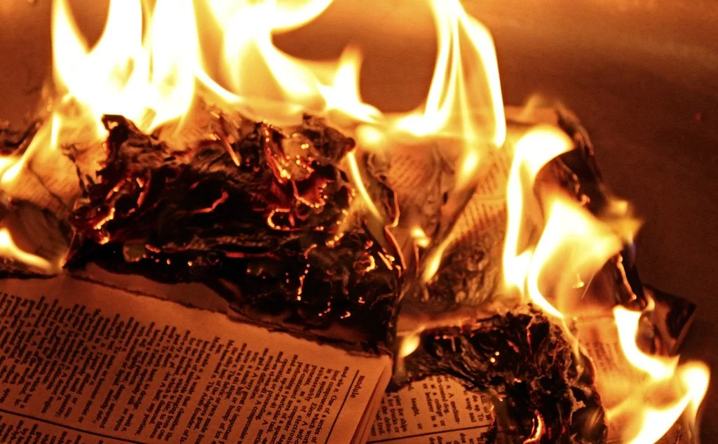 On Modern Education & the Burning of Books