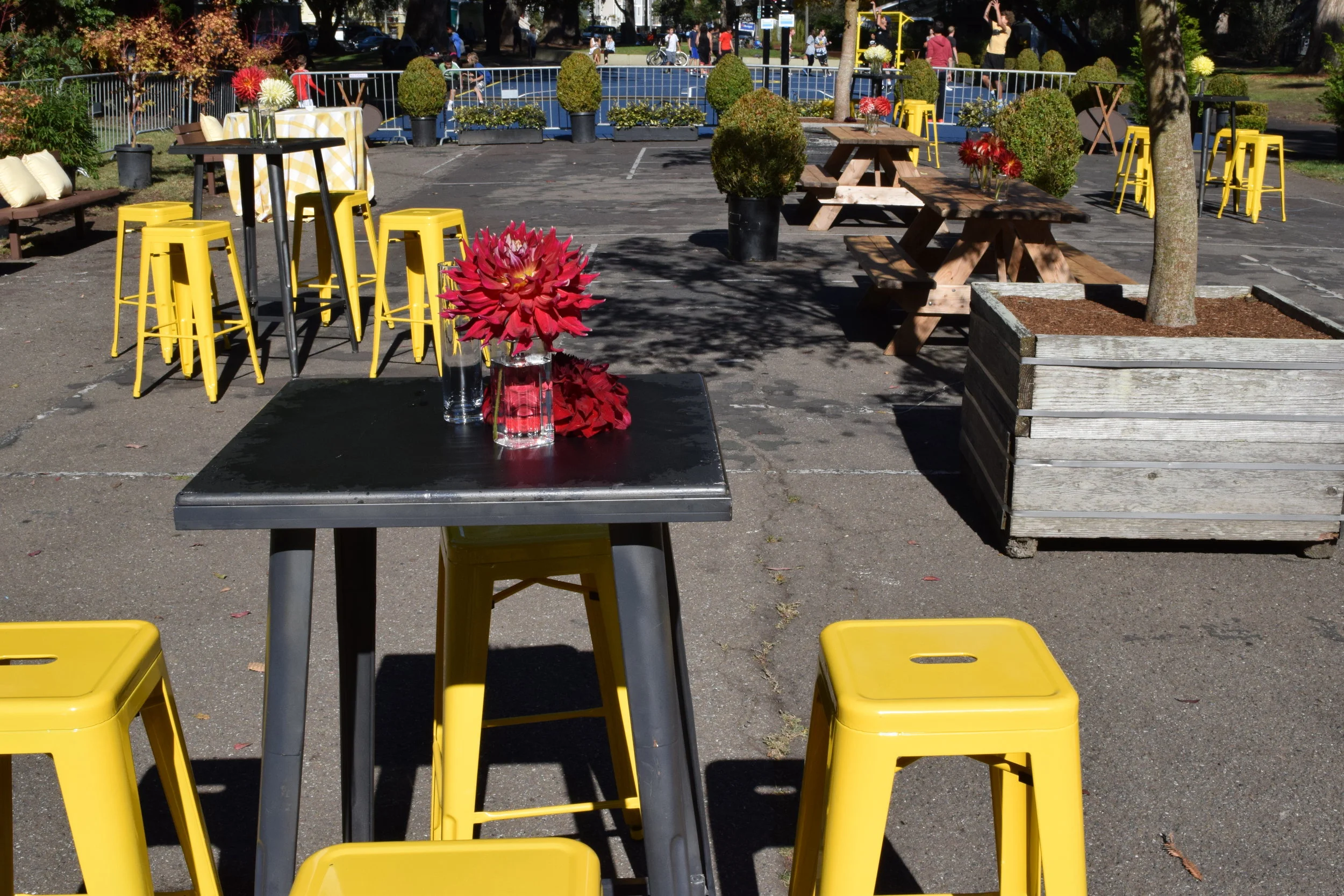 DSC_0858.JPG