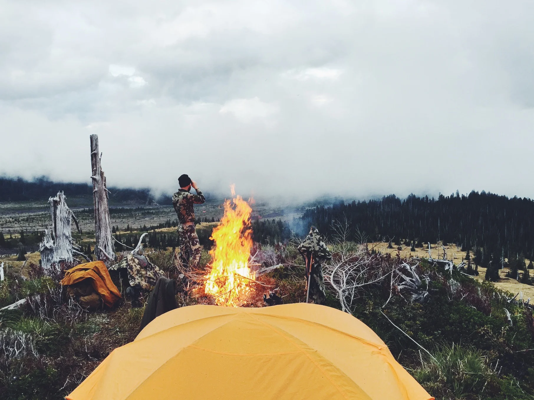 5 Lessons Learned from 2015