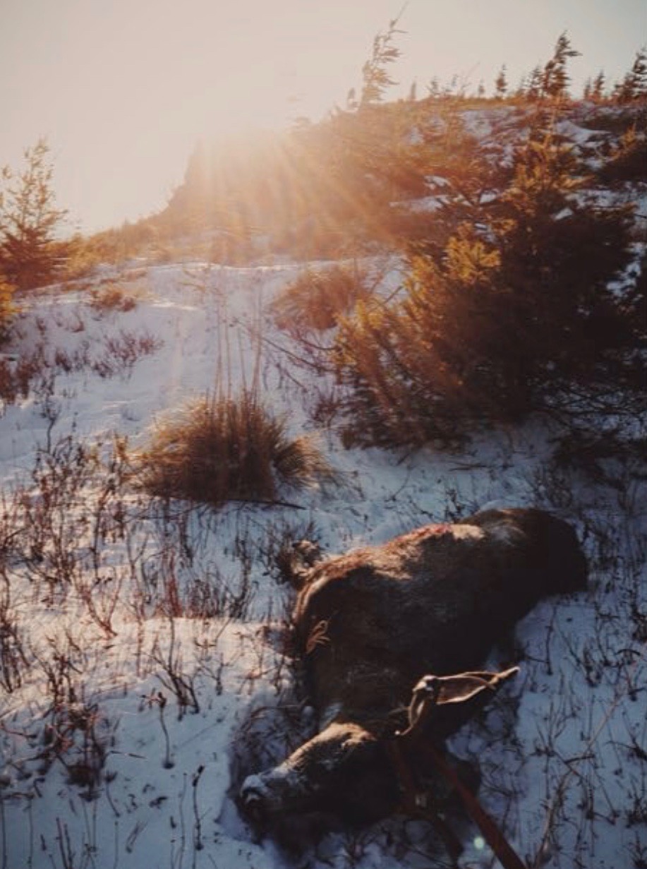 I couldn't help but stop and snap a picture of the scene while dragging out my 2014 Blacktail.